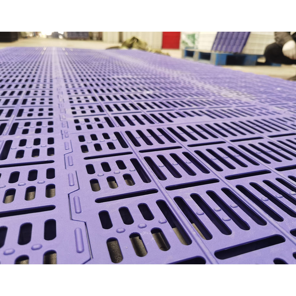 Livestock Durable Plastic Slat Floor for Piglet Used for Pig Farm