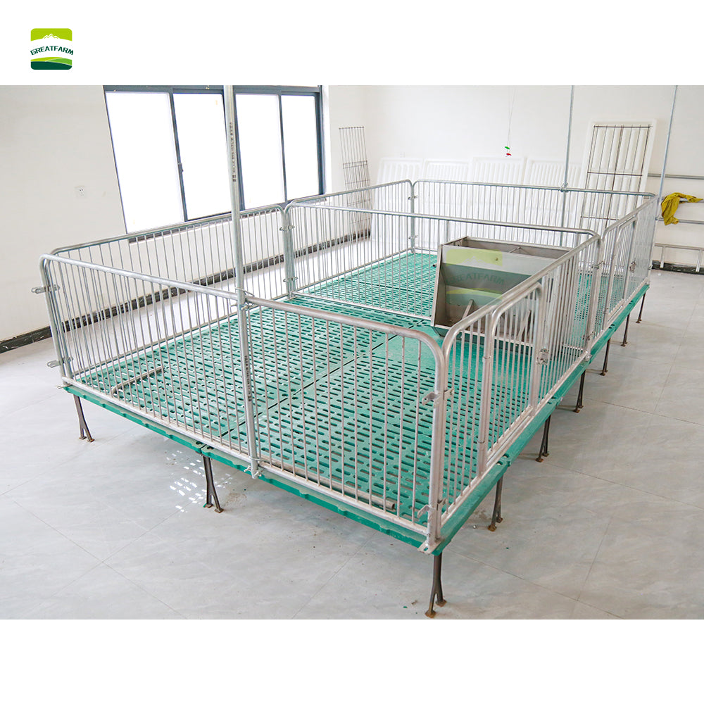Galvanized Stainless Steel Piglet Nursery Pen for Pig Farm