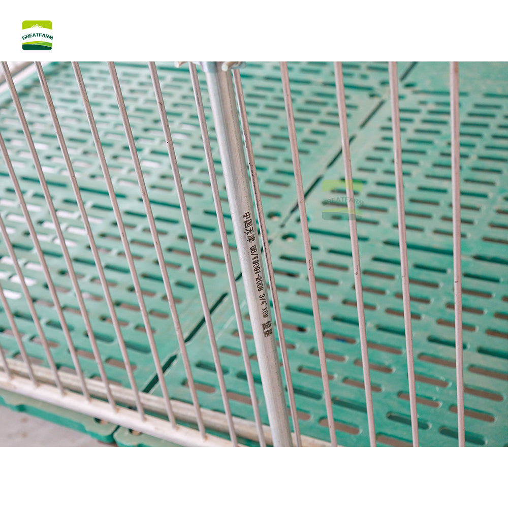 Galvanized Stainless Steel Piglet Nursery Pen for Pig Farm