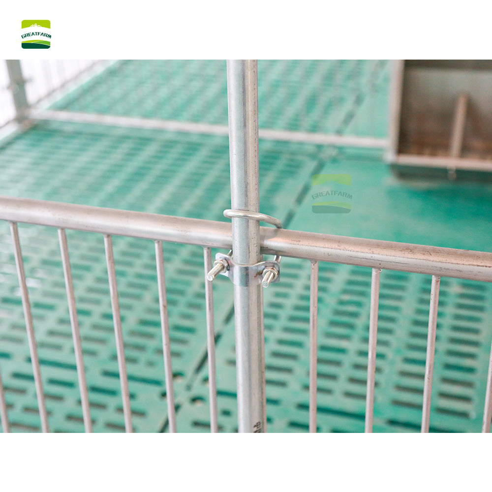 Galvanized Stainless Steel Piglet Nursery Pen for Pig Farm