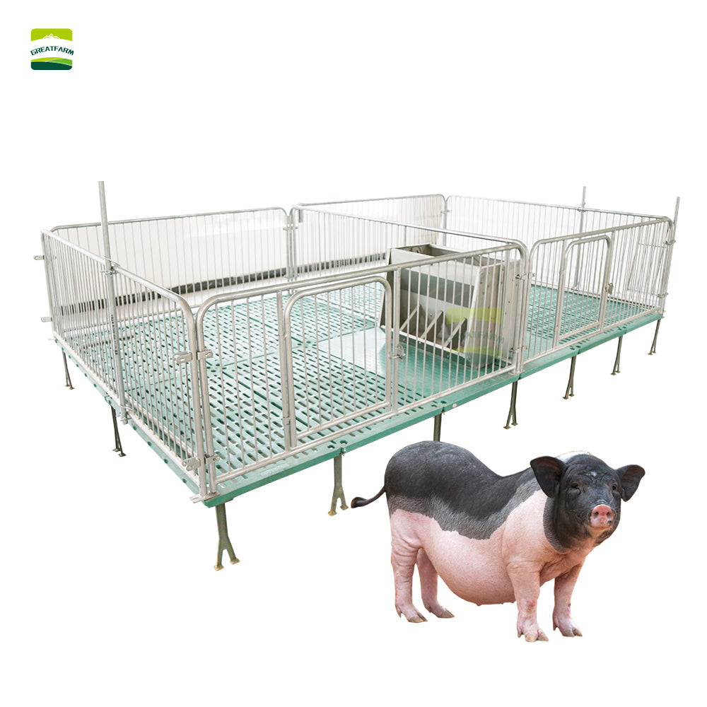Galvanized Stainless Steel Piglet Nursery Pen for Pig Farm