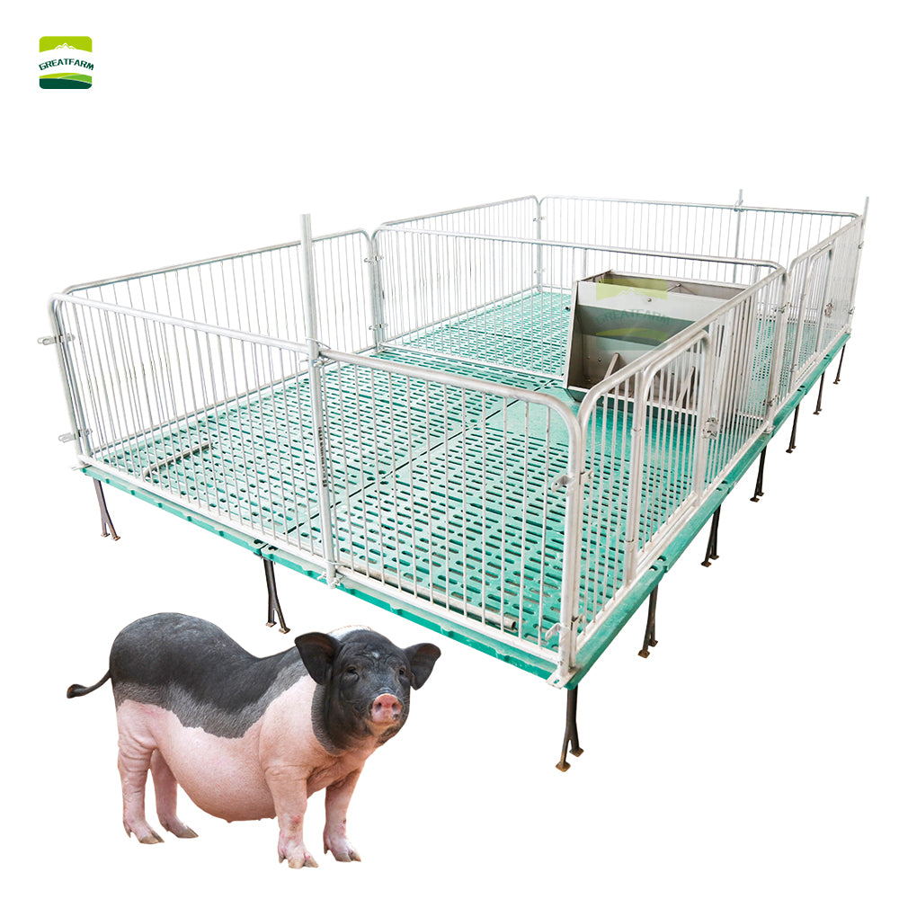 Galvanized Stainless Steel Piglet Nursery Pen for Pig Farm