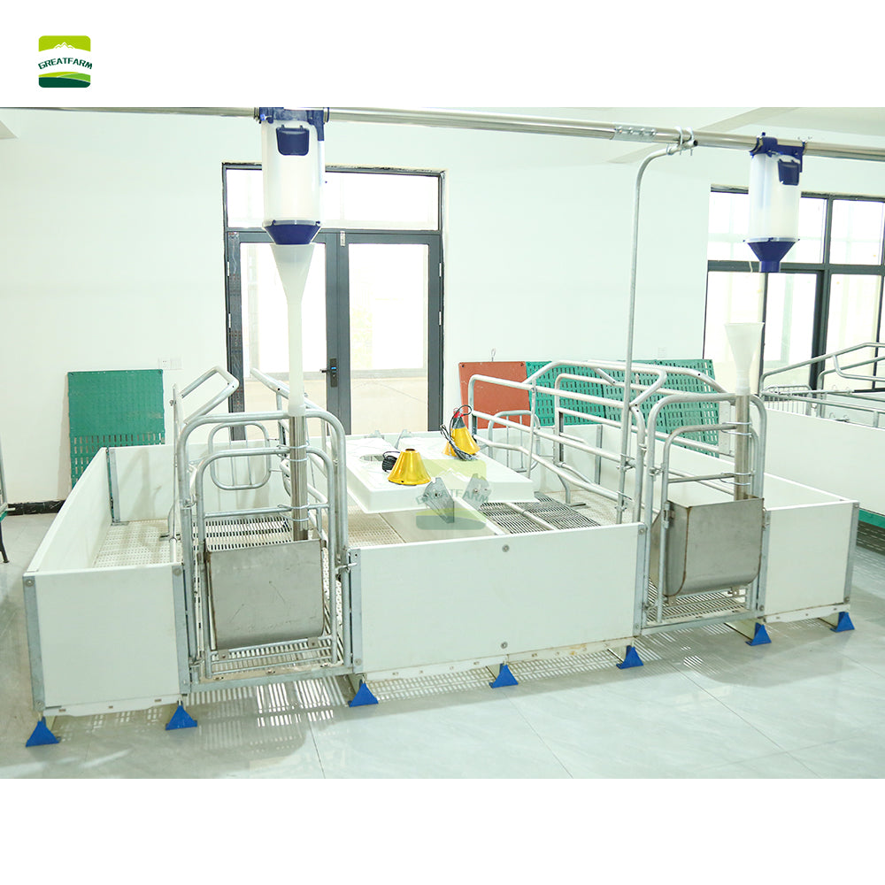 european style pig farm equipment animal cages used in pig farm farrowing crates maternity cage for sow