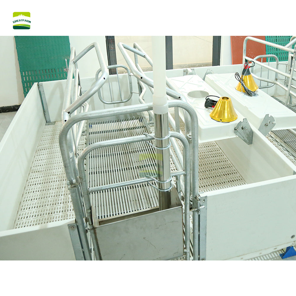 european style pig farm equipment animal cages used in pig farm farrowing crates maternity cage for sow