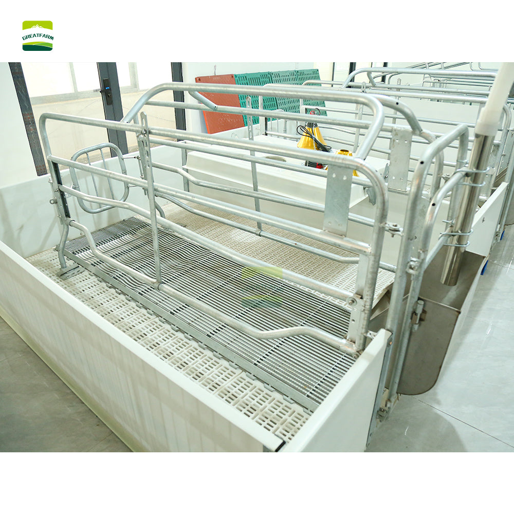 european style pig farm equipment animal cages used in pig farm farrowing crates maternity cage for sow