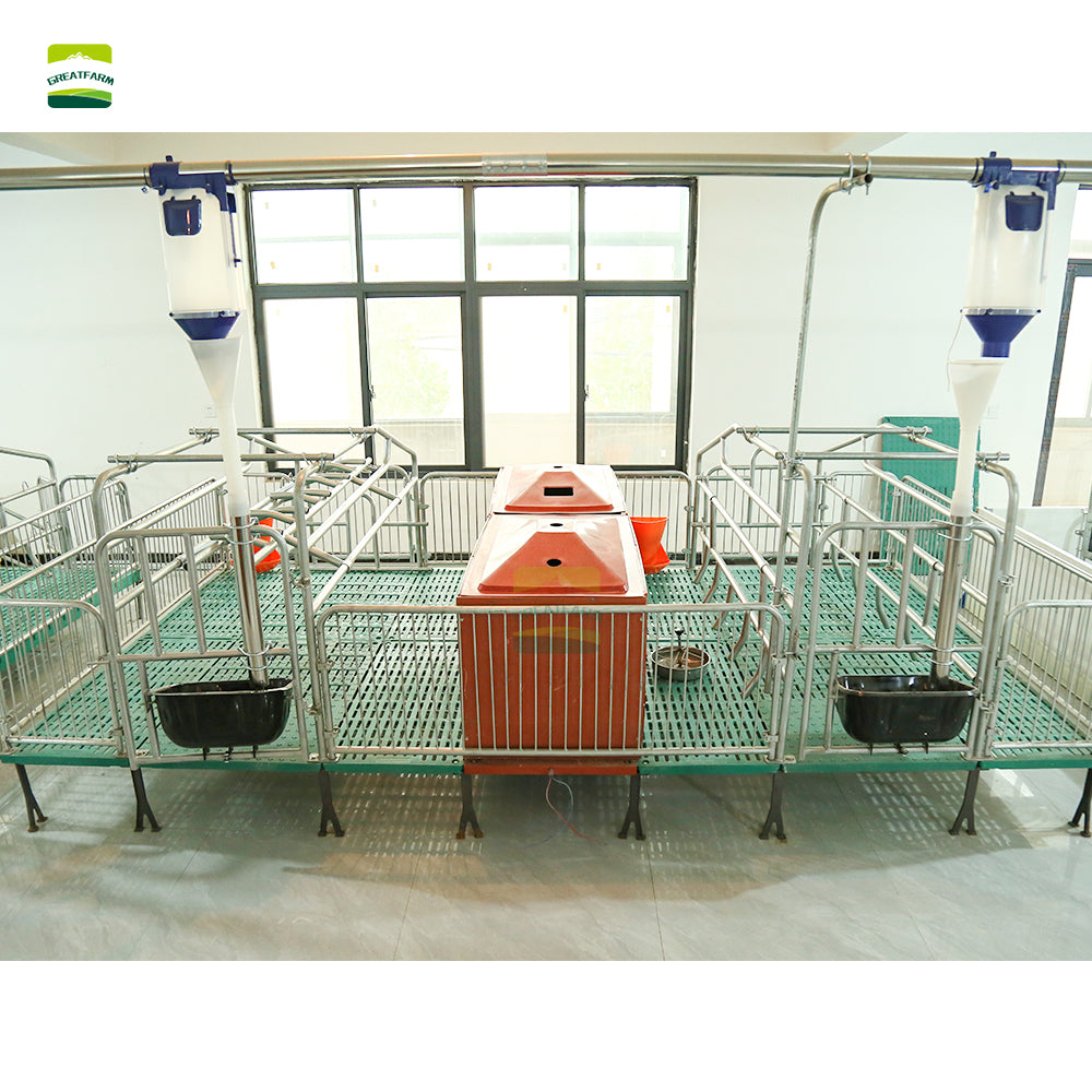Hot dip galvanized High quality steel pipe Double Sow Farrowing Cage Pig Farrow Pen Stalls Animal crate