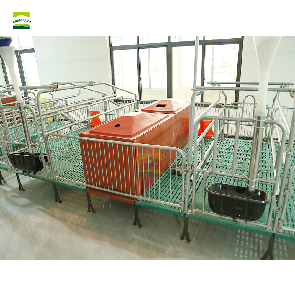 Hot dip galvanized High quality steel pipe Double Sow Farrowing Cage Pig Farrow Pen Stalls Animal crate