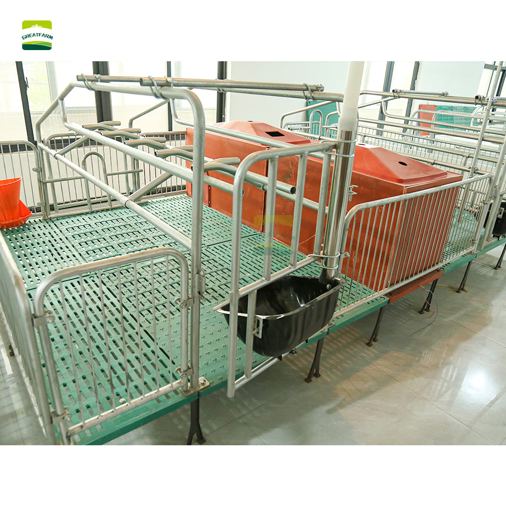 Hot dip galvanized High quality steel pipe Double Sow Farrowing Cage Pig Farrow Pen Stalls Animal crate