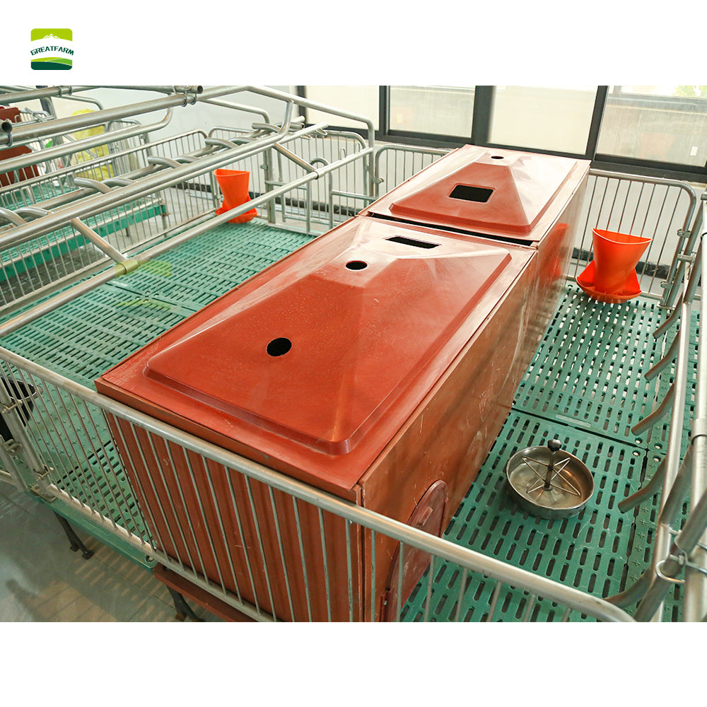 Hot dip galvanized High quality steel pipe Double Sow Farrowing Cage Pig Farrow Pen Stalls Animal crate