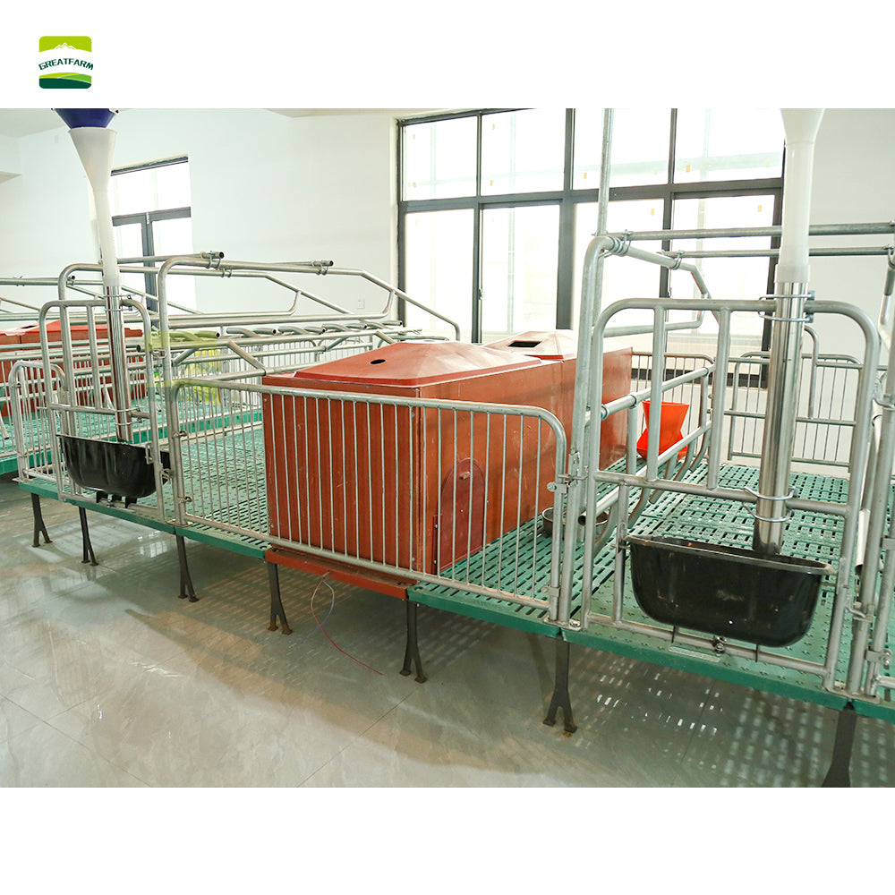 Hot dip galvanized High quality steel pipe Double Sow Farrowing Cage Pig Farrow Pen Stalls Animal crate