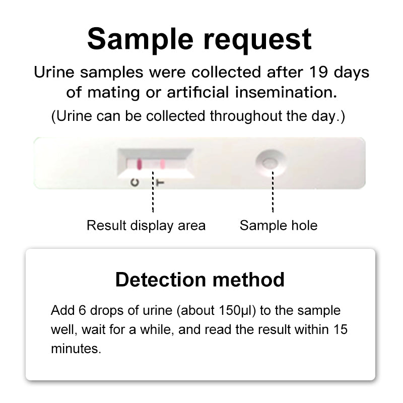 sheep pig dog cow early pregnancy rapid test kit