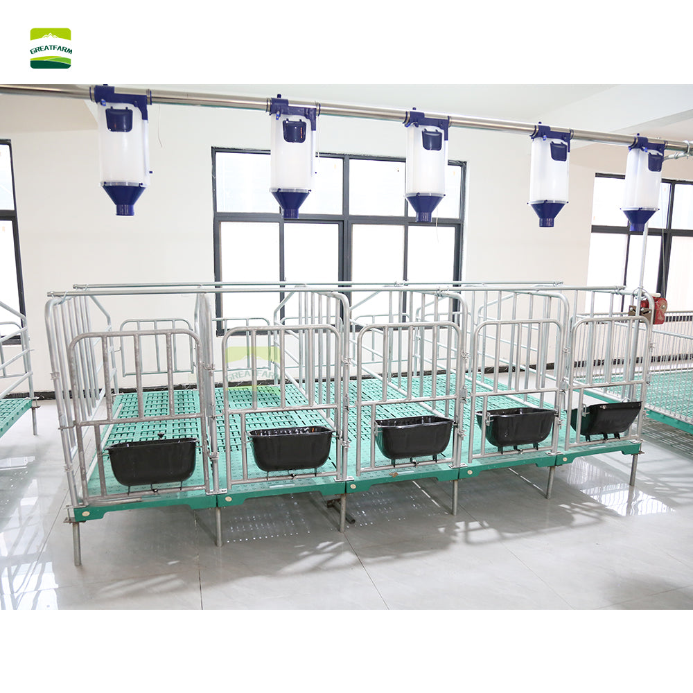 Sow Gestation pen Galvanized Pig Farrowing Crates pen