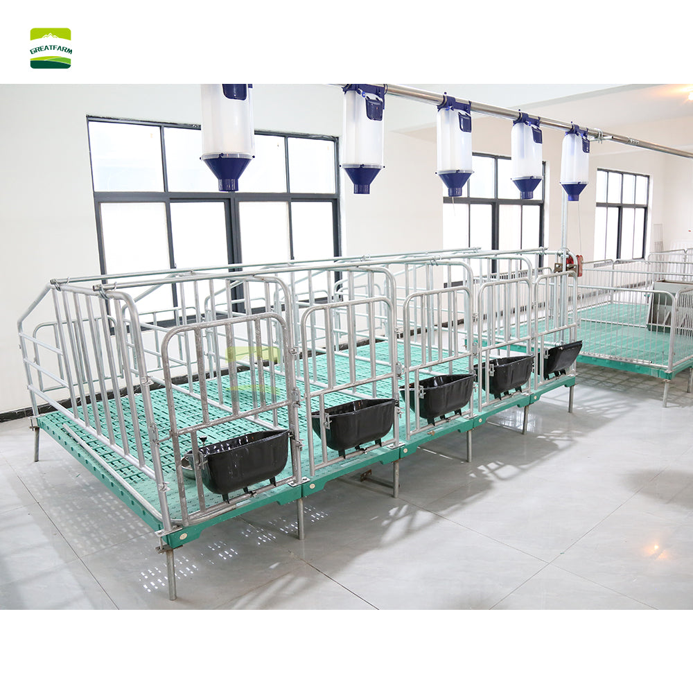 Sow Gestation pen Galvanized Pig Farrowing Crates pen