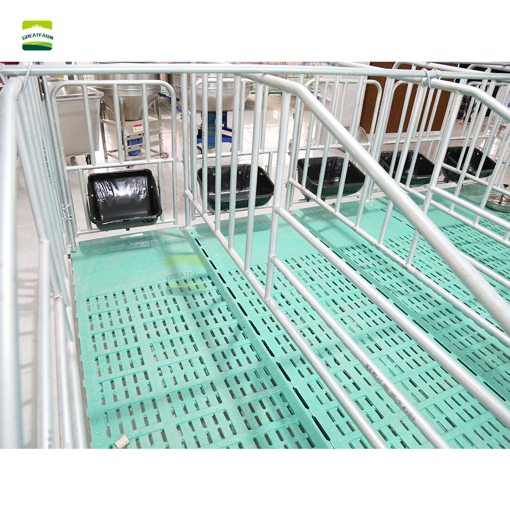 Sow Gestation pen Galvanized Pig Farrowing Crates pen
