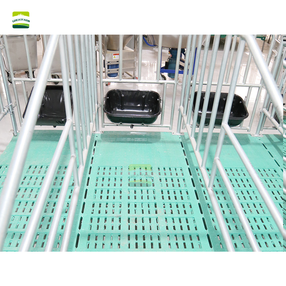 Sow Gestation pen Galvanized Pig Farrowing Crates pen