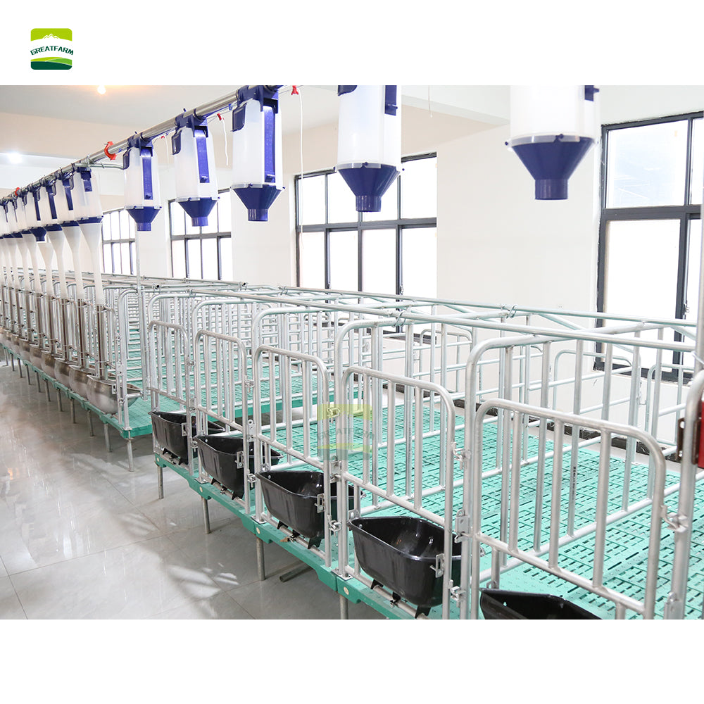 Sow Gestation pen Galvanized Pig Farrowing Crates pen