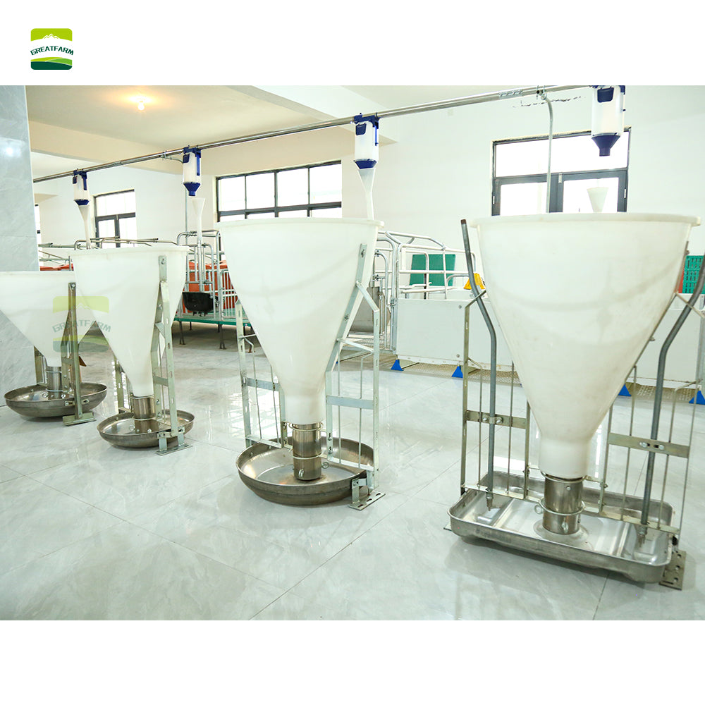 Pig Wet and dry feeder