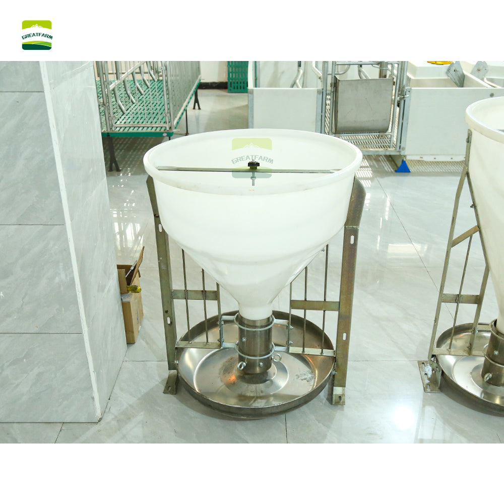 Pig Wet and dry feeder