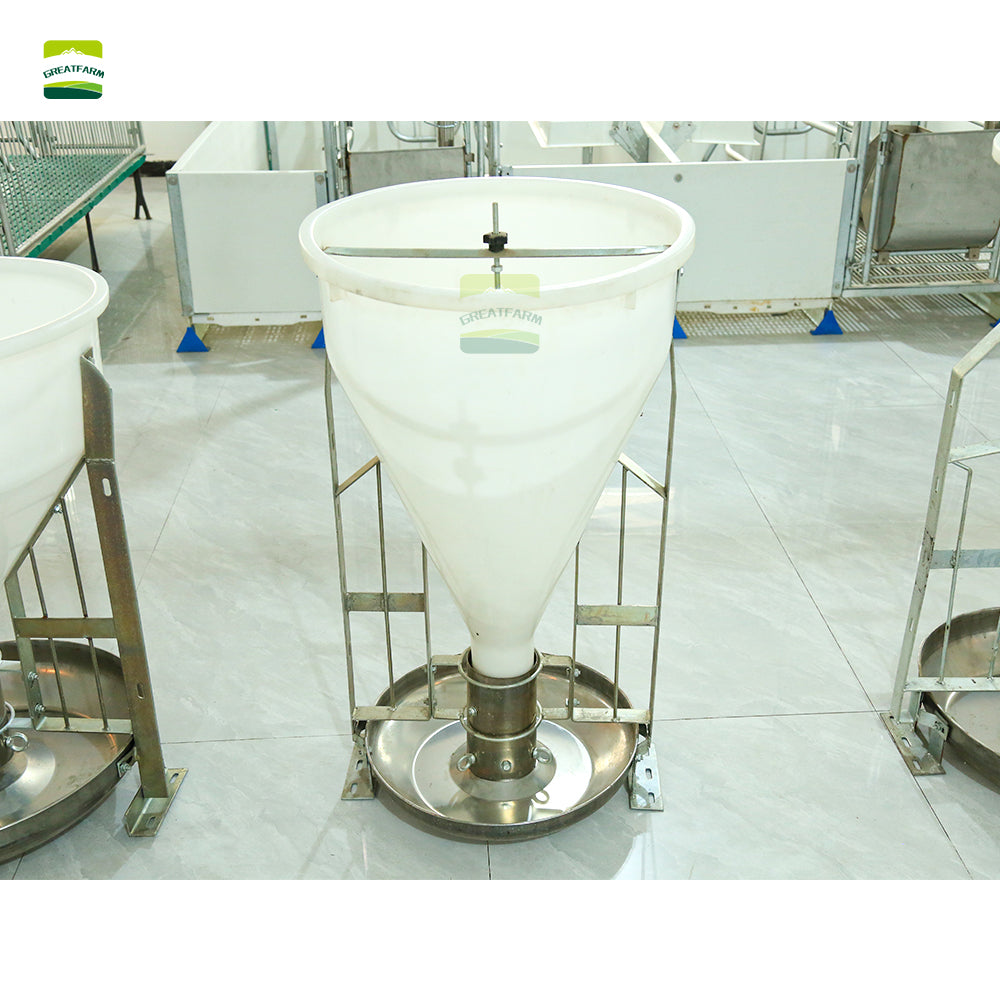 Pig Wet and dry feeder