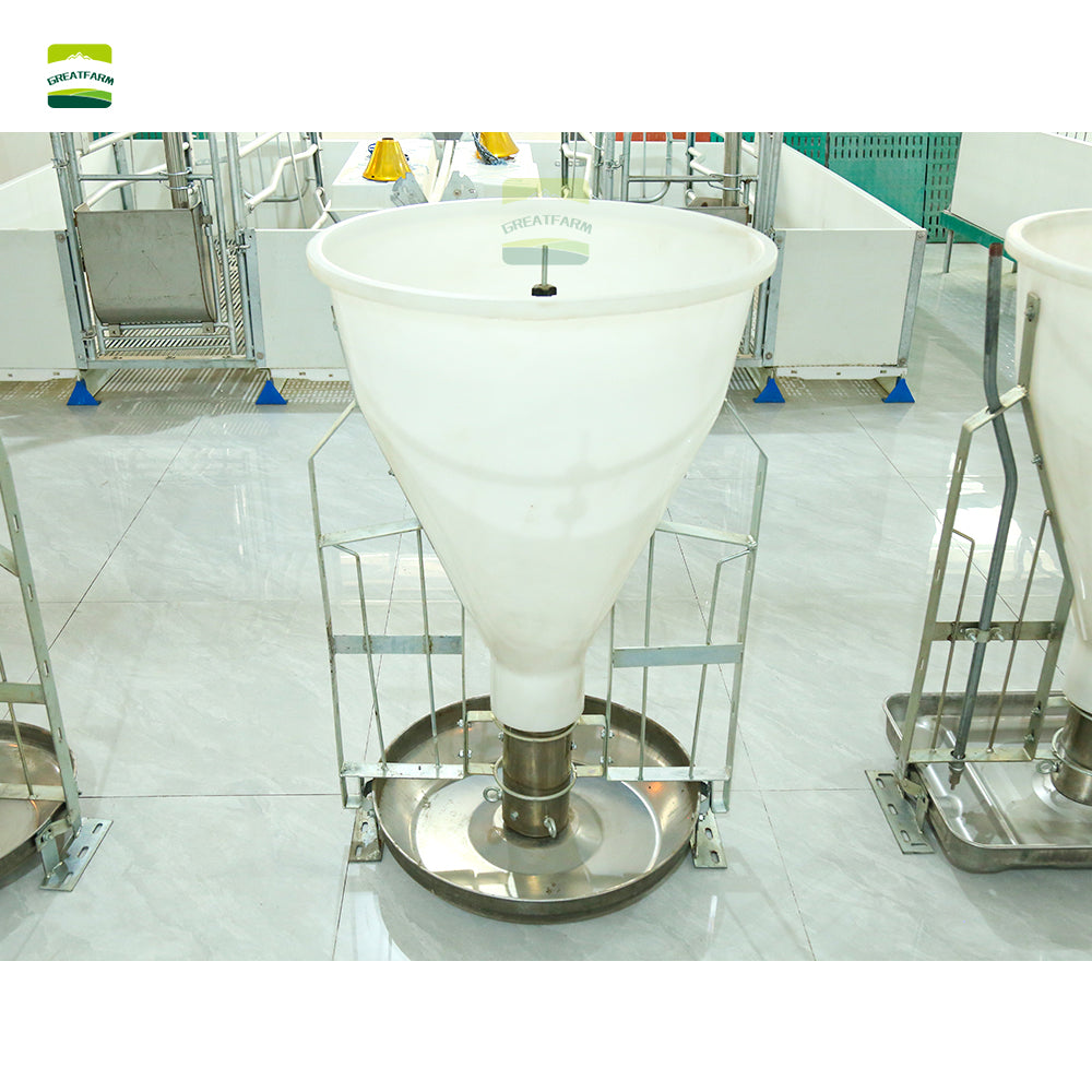 Pig Wet and dry feeder