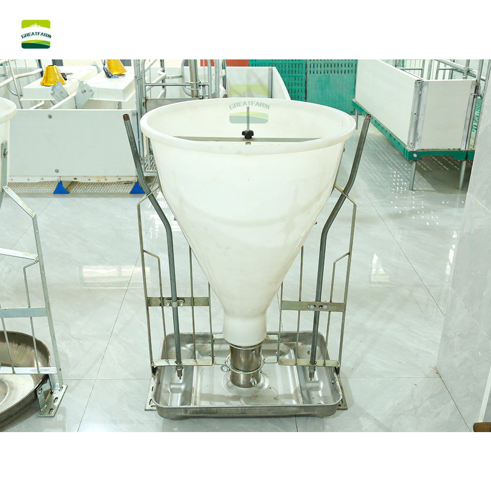 Pig Wet and dry feeder
