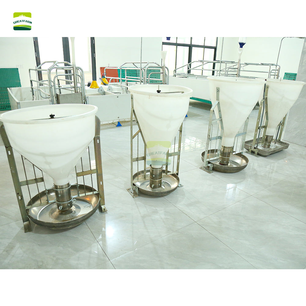 Pig Wet and dry feeder
