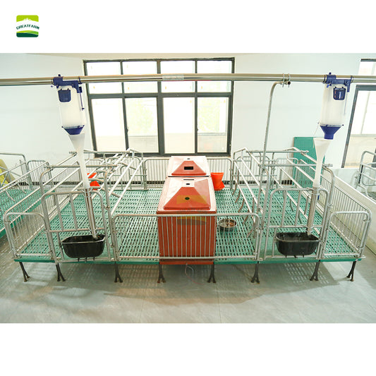 Hot dip galvanized High quality steel pipe Double Sow Farrowing Cage Pig Farrow Pen Stalls Animal crate